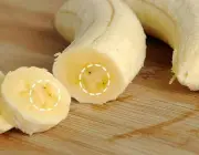Melhoramento Genético da Banana Caturra 4