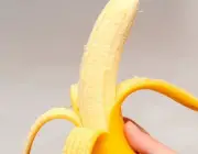 Melhoramento Genético da Banana Caturra 5