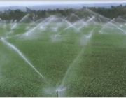 Métodos de Irrigação 3