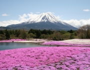 Monte Fuji 3