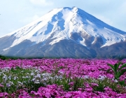Monte Fuji 6