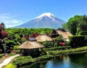 Monte Monte Fuji 6