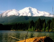 Monte Shasta 1