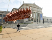 Field Museum 5