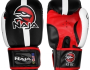 Naja E O Muay Thai 1