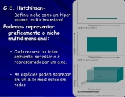 Nicho de Hutchinson 1