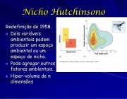 Nicho de Hutchinson 2