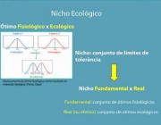 Nicho Ecológico e Conservação 5