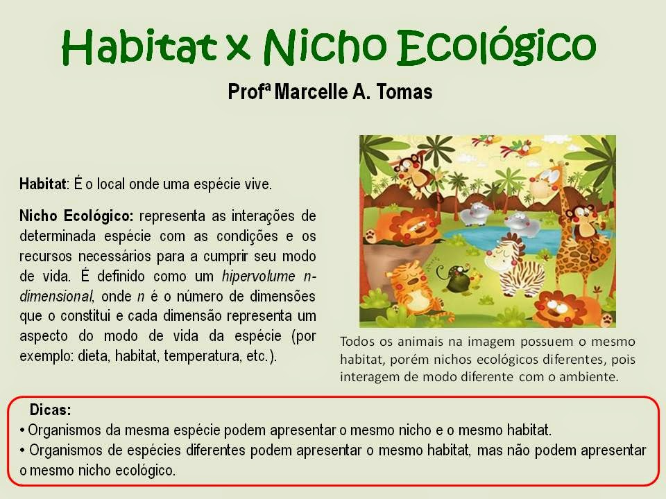 Descubre Qué Es Un Nicho Ecológico Y Conoce Ejemplos – SOAFEC
