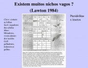 Pteridófitas x insetos. Chew: comem as folhas. Suck: sugadores das células. Mine: Minadores, vivem dentro dos tecidos. Gall: galhadores, induzem as galhas.