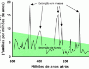 Nichos Vagos 4