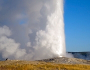 Old Faithful 1