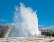 Old Faithful 5