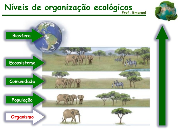 Tudo Sobre Ecologia | Mundo Ecologia