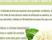 Os Benefícios da Couve Flor 3