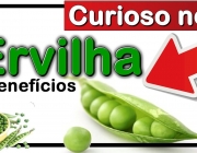 Os Benefícios da Ervilha 3