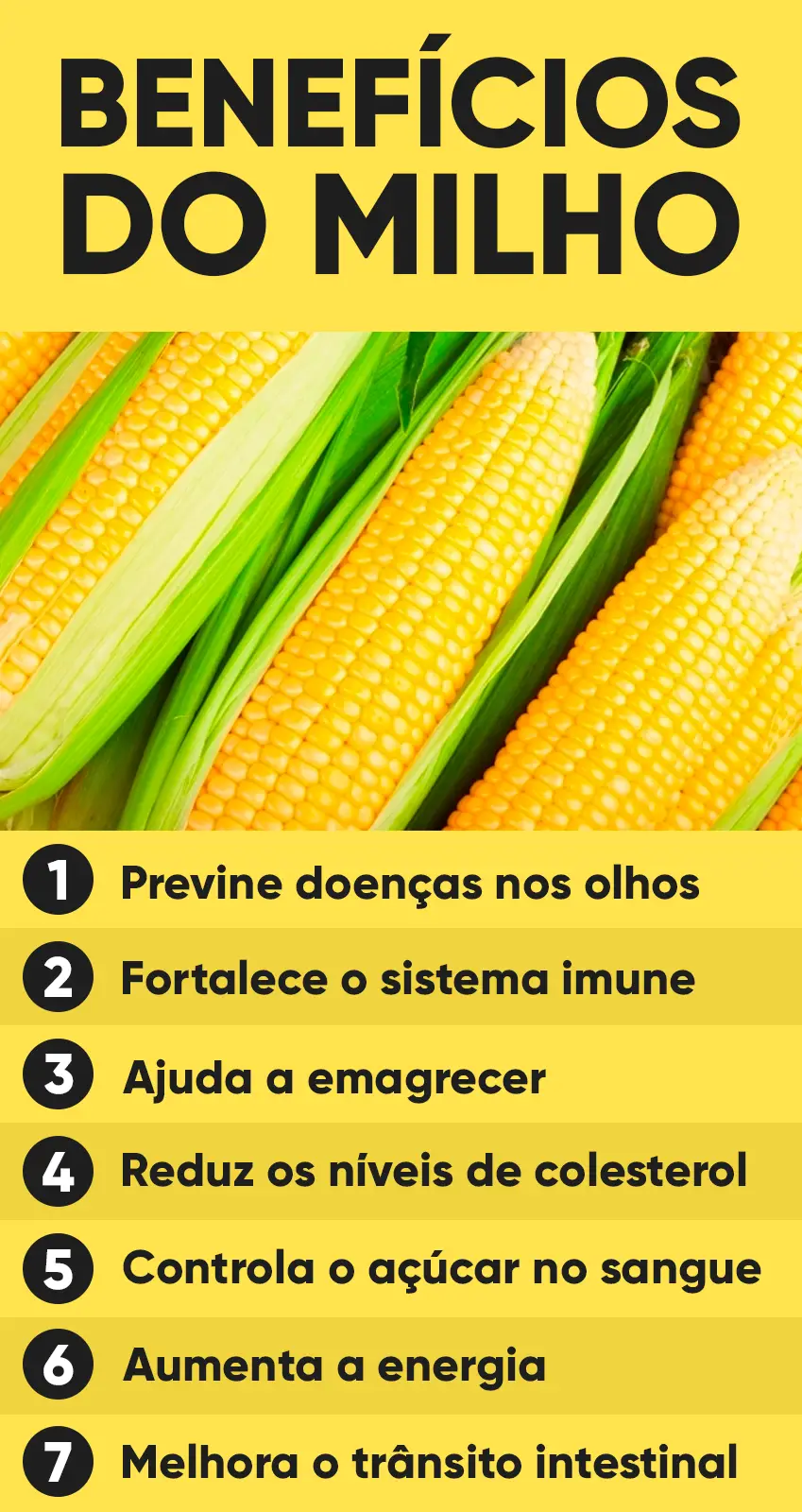 Os Benefícios do Milho 4