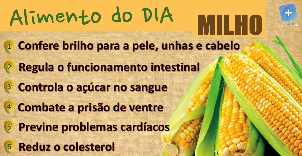 Milho é Legume ou Verdura? Mundo Ecologia