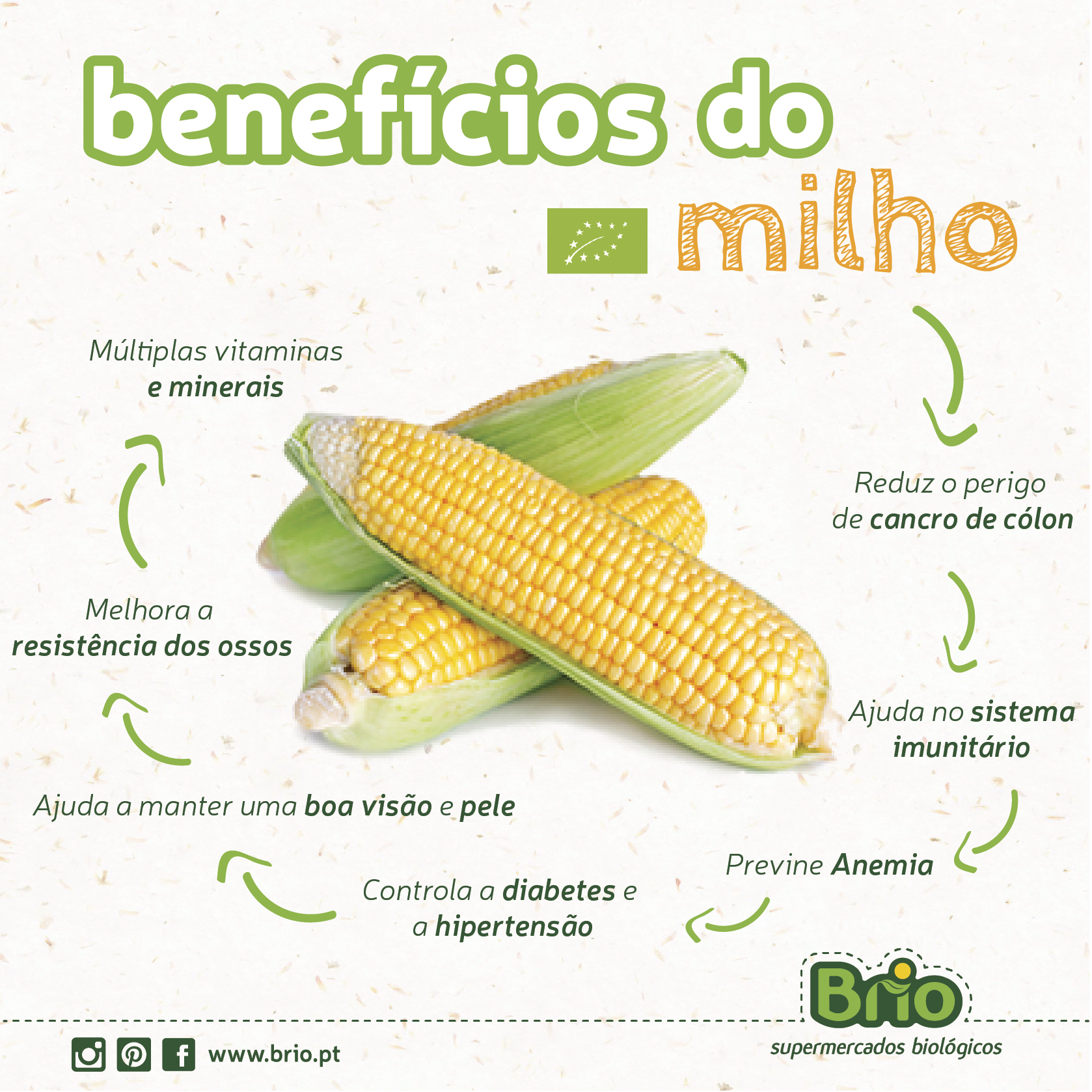Milho é Legume ou Verdura? | Mundo Ecologia