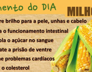 Os Benefícios do Milho 2