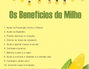 Os Benefícios do Milho 5