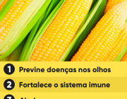 Milho é Legume ou Verdura? | Mundo Ecologia