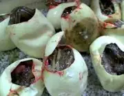 Ovos de Cobra Marrom de Barriga Branca 5