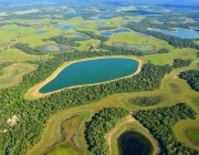 Pantanal 2