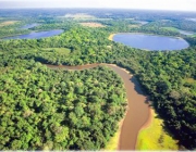 Pantanal 3