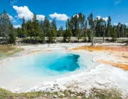 Parque Nacional de Yellowston 3