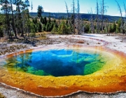 Parque Nacional de Yellowstone 6