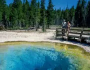Parque Nacional de Yellowstone 1