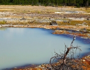 Parque Nacional de Yellowstone 4