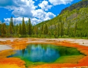 Parque Nacional de Yellowstone 5