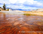 Parque Nacional de Yellowstone 5