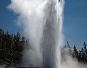 Parque Nacional de Yellowstone 6