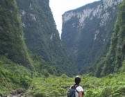 Parque Nacional dos Aparados da Serra 5