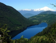 Parque Nacional Huerquehue 1