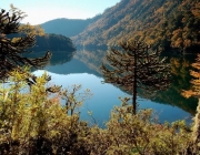 Parque Nacional Huerquehue 3