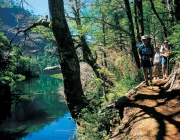 Parque Nacional Huerquehue 4