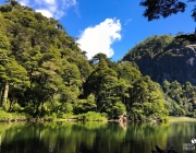 Parque Nacional Huerquehue 5