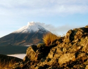 Parque Nacional Izta-Popo Zoquiapan 4