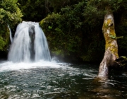 Parque Nacional Puyeue 1