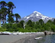 Parque Nacional Villarica 6