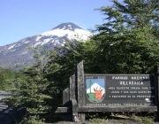 Parque Nacional Villarrica 1