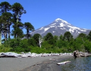 Parque Nacional Villarrica 3