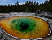 Parque Yellowstone 4
