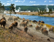 Parque Yellowstone 5