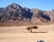 Península do Sinai 1