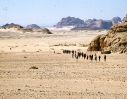 Península do Sinai 3